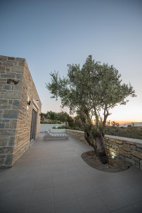Irene Komos Independent House Pitsidia Exterior photo